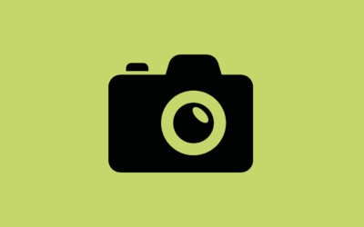 Ergebnisse des Bornstedter Fotowettbewerbs