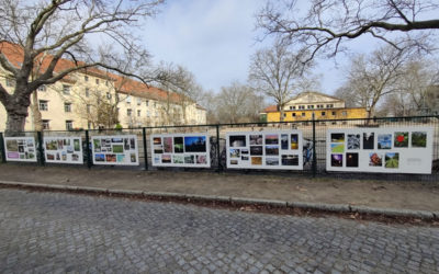 Ausstellung an der Karl-Foerster-Schule
